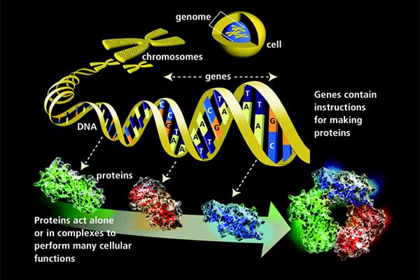 Bioinformatics Data Processing and Software Development
